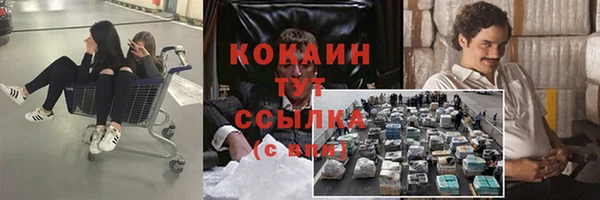 прущие грибы Алзамай