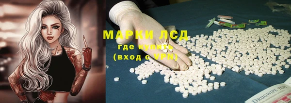 прущие грибы Алзамай