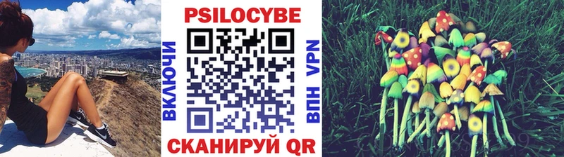 Галлюциногенные грибы Psilocybine cubensis  Беломорск 